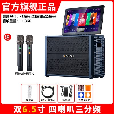 山水H2便携式大功率音响户外音箱卡拉OK家庭KTV套装卡拉OK播放器广场舞音响